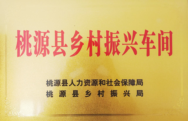 桃源縣鄉(xiāng)村振興車(chē)間